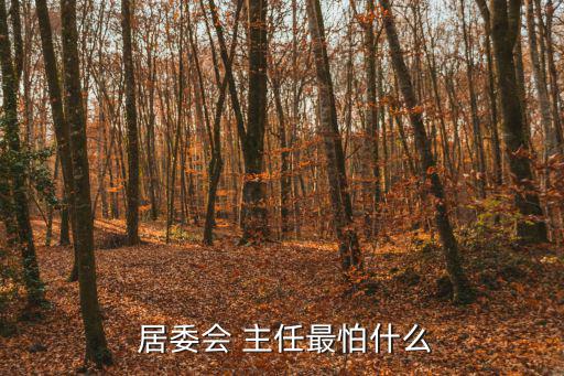  居委會 主任最怕什么