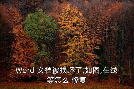 Word 文檔被損壞了,如圖,在線等怎么 修復(fù)