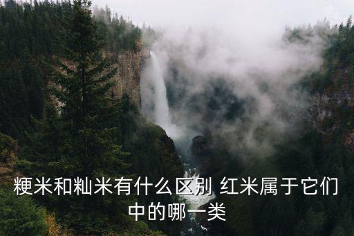 粳米和秈米有什么區(qū)別 紅米屬于它們中的哪一類