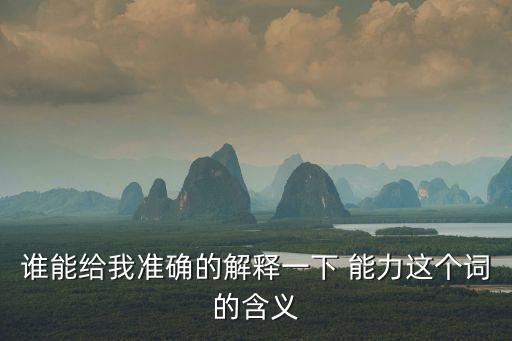 誰能給我準確的解釋一下 能力這個詞的含義