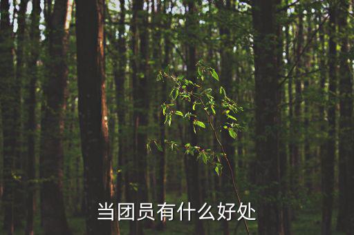 當團員有什么好處