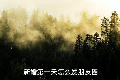 新婚圖片,車展出租車業者推出優惠租金回扣