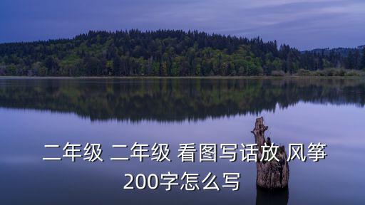  二年級(jí) 二年級(jí) 看圖寫(xiě)話放 風(fēng)箏200字怎么寫(xiě)