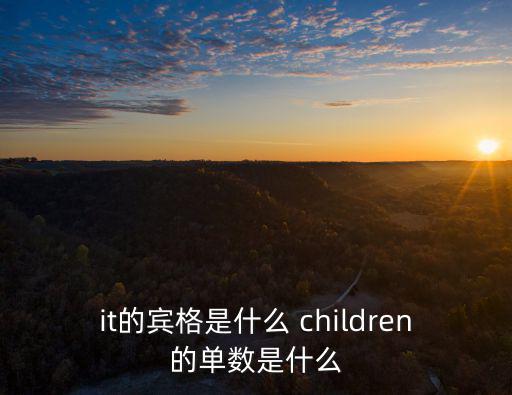 it的賓格是什么 children的單數是什么