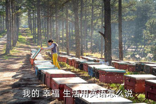 我的 幸福 生活用英語怎么說