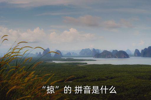 “掠”的 拼音是什么