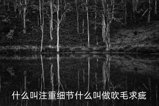 什么叫注重細(xì)節(jié)什么叫做吹毛求疵