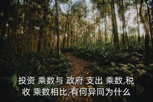 投資 乘數與 政府 支出 乘數,稅收 乘數相比,有何異同為什么