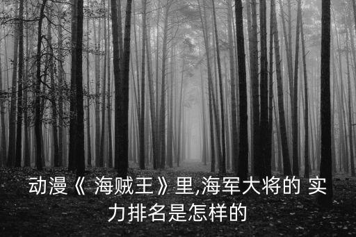 動(dòng)漫《 海賊王》里,海軍大將的 實(shí)力排名是怎樣的