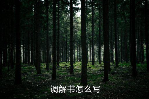  調解書怎么寫