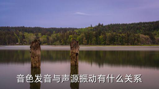 音色發(fā)音與聲源振動(dòng)有什么關(guān)系