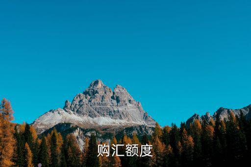 購匯額度