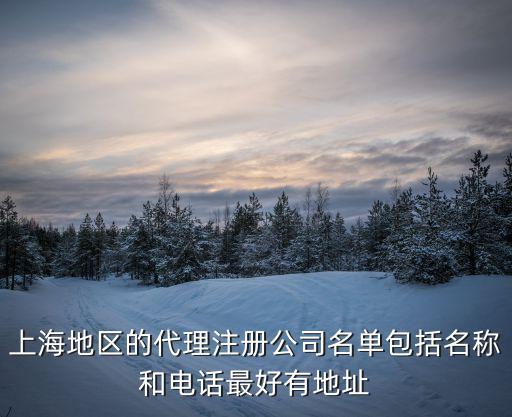 上海地區(qū)的代理注冊(cè)公司名單包括名稱(chēng)和電話最好有地址