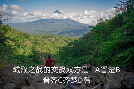 城濮之戰的交戰雙方是   A晉楚B晉齊C齊楚D韓