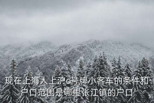 現在上海人上滬c號牌小客車的條件和戶口范圍是哪里張江鎮的戶口