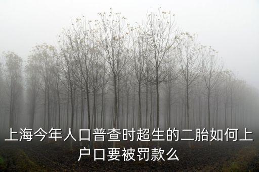 上海超生落戶新政策，上海超生子女如何辦理戶口