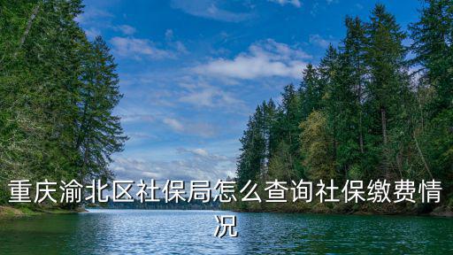 重慶市渝北區(qū)社保局單位查詢系統(tǒng)，渝北區(qū)個(gè)人社保怎么查詢