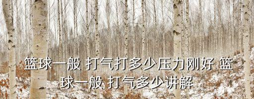  籃球一般 打氣打多少壓力剛好 籃球一般 打氣多少講解