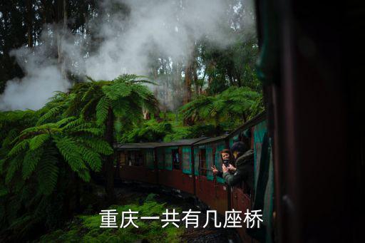 重慶一共有幾座橋