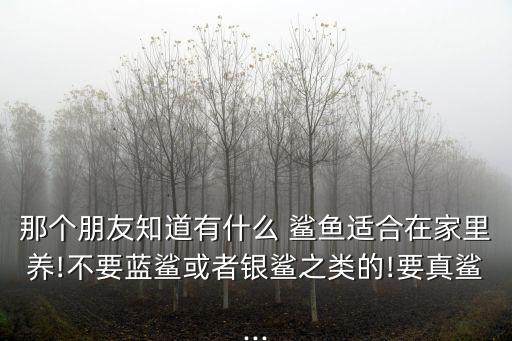 那個朋友知道有什么 鯊魚適合在家里養!不要藍鯊或者銀鯊之類的!要真鯊...