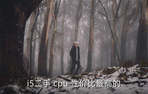 cpu性價比,e3系列顯卡不受顯卡拖影性價比優良