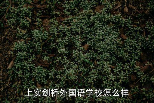 上實劍橋外國語學校怎么樣
