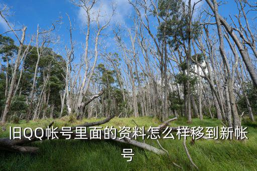 舊QQ帳號里面的資料怎么樣移到新帳號