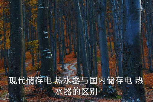 現代熱水器,即熱式電熱水器優點:熱水產生快只需3秒