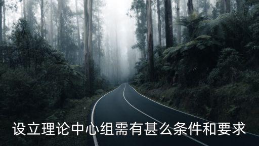 設立理論中心組需有甚么條件和要求