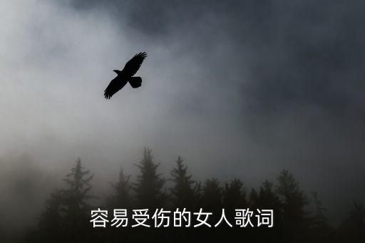 容易受傷的女人歌詞