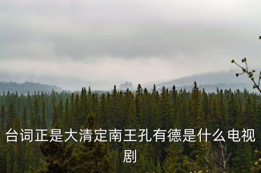 臺詞正是大清定南王孔有德是什么電視劇