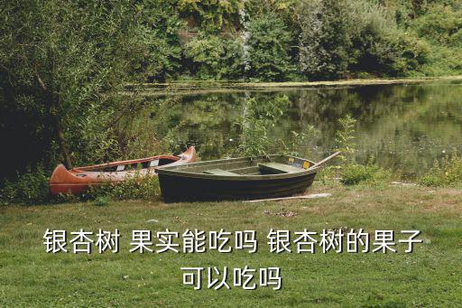 銀杏果實,這些銀杏樹從何而來?