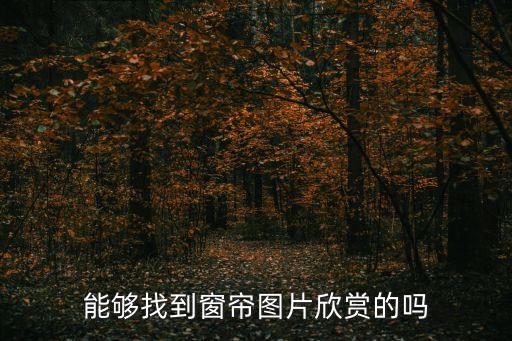 能夠找到窗簾圖片欣賞的嗎