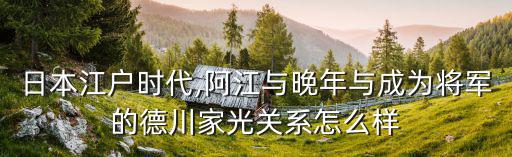 日本江戶時代,阿江與晚年與成為將軍的德川家光關系怎么樣