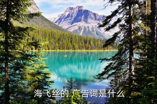  海飛絲的 廣告詞是什么