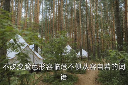 不改變臉色形容臨危不俱從容自若的詞語