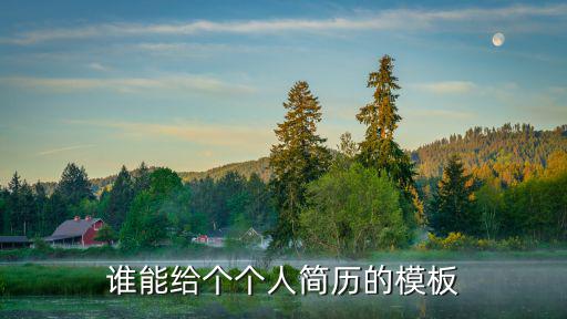 誰(shuí)能給個(gè)個(gè)人簡(jiǎn)歷的模板