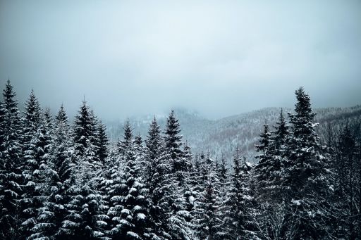 剛開頭的成語,屈；不會寫屈讀書人寫給財主看了連連稱贊