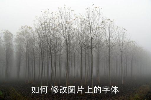如何 修改圖片上的字體