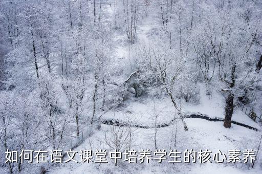 如何在語(yǔ)文課堂中培養(yǎng)學(xué)生的核心素養(yǎng)