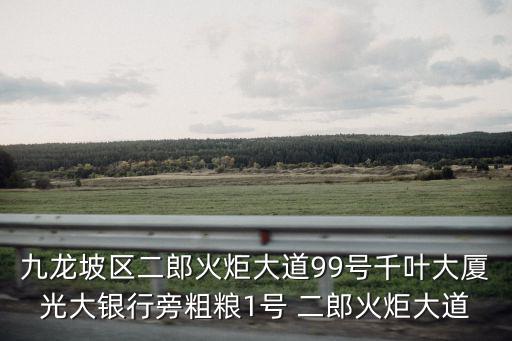 九龍坡區二郎火炬大道99號千葉大廈光大銀行旁粗糧1號 二郎火炬大道
