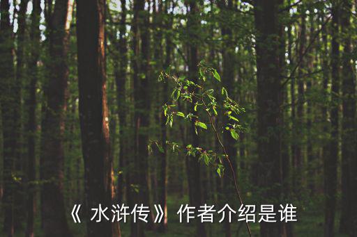 《 水滸傳》 作者介紹是誰