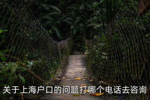 關于上海戶口的問題打哪個電話去咨詢
