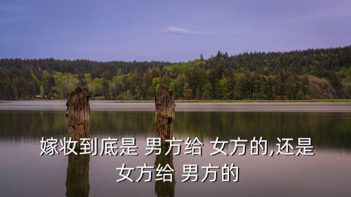 嫁妝是給男方還是女方,結婚前男方給女方一份嫁妝表示尊重