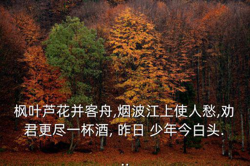 昨日少年,時光飛逝，歲月如梭曾輕佻青春已失去被時間打磨棱角