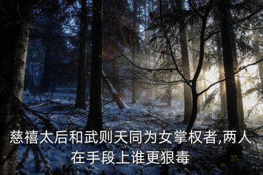 慈禧太后和武則天同為女掌權者,兩人在手段上誰更狠毒