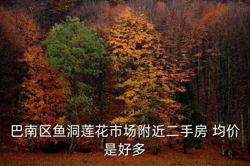 巴南區(qū)魚洞蓮花市場(chǎng)附近二手房 均價(jià)是好多