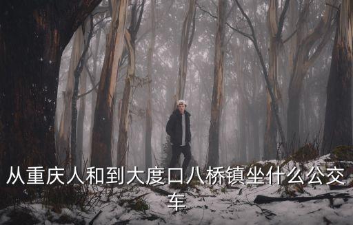 重慶市大渡口區(qū)450路公交車，北重慶至大渡口