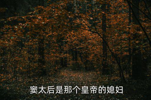 竇太后簡介,武漢太后逼宮中撤換官員逼宮女退位