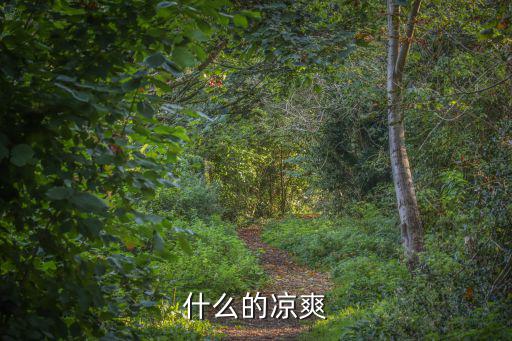 什么的涼爽